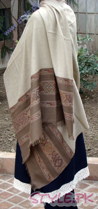 Pashmina Hand Embroidery Modern Design For Girls Badge with Brown Border 