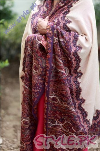 Pashmina Hand Woven with Wide Border by Paradoosh 