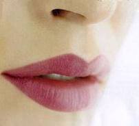 Perfect lips 003 