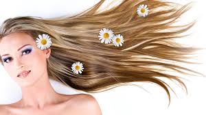 How Plant can help you Reduce Hair fall hairstyles and hair care 