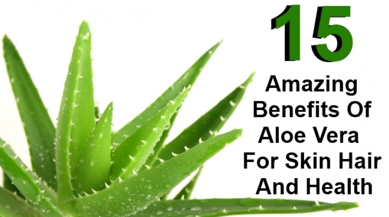 Image result for Health benefits of aloe vera in skin